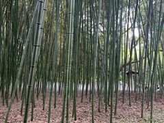 -兰亭风景区