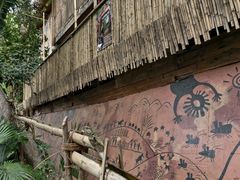 -西双版纳原始森林公园