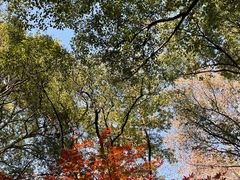 -杭州半山国家森林公园