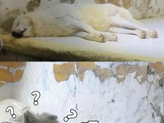 -大连圣亚海洋世界