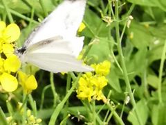 -长春公园(普阳街道)