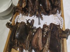 -食家鸽园
