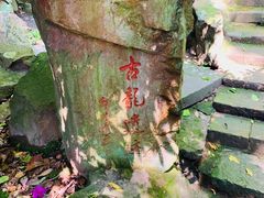 -杭州黄龙洞