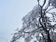 -峨眉山风景名胜区