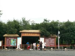 -西青郊野公园