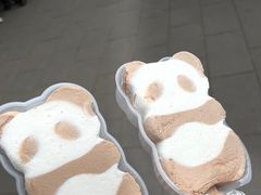 -成都大熊猫繁育研究基地