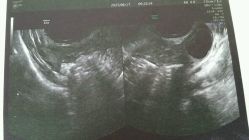 -北京市朝阳区妇幼保健院(南院区)