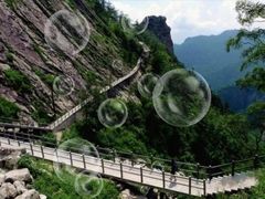 景点-朱雀国家森林公园