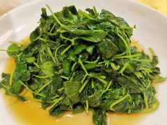 -鹿港小镇经典老上海菜(长乐路店)