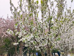 -元大都城垣遗址公园