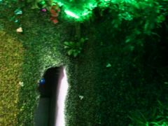 -MOJO密室逃脱(中街旗舰店)