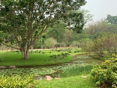 -中国科学院西双版纳热带植物园