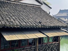 -乌镇景区