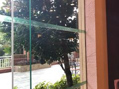 -麒麟中餐厅·经典粤菜·地道菜式老字号(广州长隆酒店)