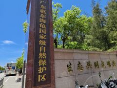 -广东惠东海龟国家级自然保护区