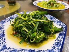 大蒜炒马兰-呼吸森林·生态农庄农家乐私房菜