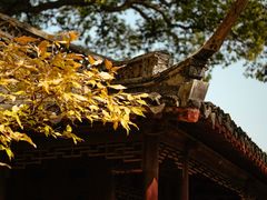 -上海醉白池公园