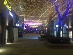 -绿地·中山里