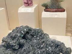 -天津自然博物馆
