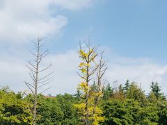 -长广溪湿地公园