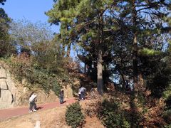 -敬亭山风景名胜区