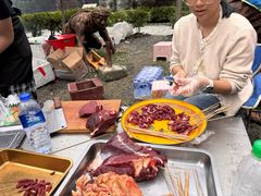-甘堡藏寨