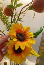 -MONICA BOX美甲美睫