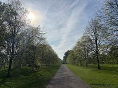-海德公园