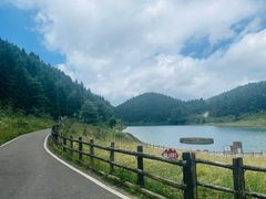 -武陵山森林公园