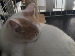 -白衬衫照相馆(五彩店)