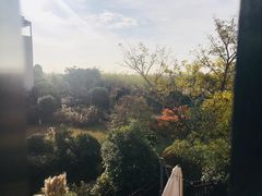 -上海崇明金茂凯悦酒店