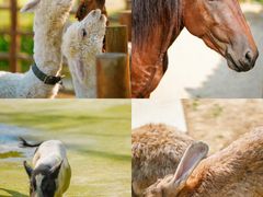 -南京市无想山景区