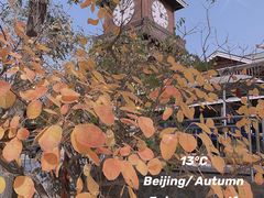 -永定河休闲森林公园