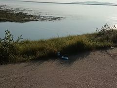 -鄱阳湖国家湿地公园