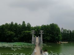 -东湖落雁景区
