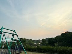 -大塘金香草谷