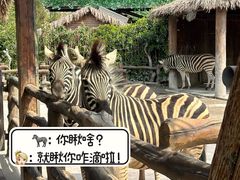 -上海野生动物园