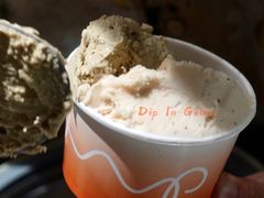 -Dip in Gelato(富民路店)