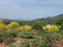 -密云玫瑰情园