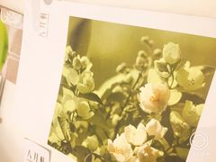 -八月花(旺角朗豪坊店)