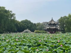 -莲池书院博物馆