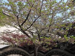 -胡雪岩故居