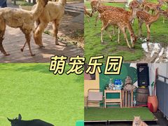 -盈香心动乐园