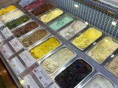 -iceason爱茜茜里·意大利健康冰淇淋(骑龙巷店)