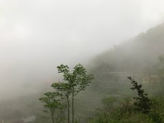 -紫鹊界梯田景区