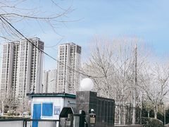 -庄怡公园