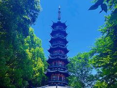 -上海佘山国家森林公园西佘山园