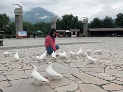 -叠溪松坪沟景区