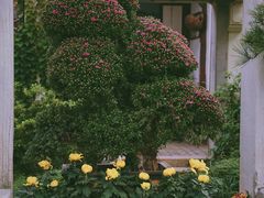 -惠山古镇·寄畅园