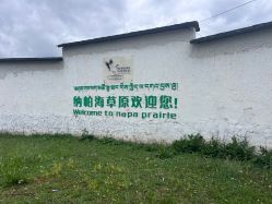 -纳帕海依拉草原